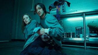 电影人工进化在线观看,探索未来人类进化的惊悚之旅  第1张