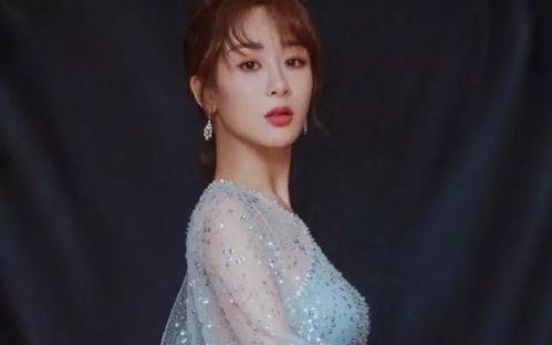 杨紫家世爆料视频播放大全,独家视频播放大全深度解析  第2张