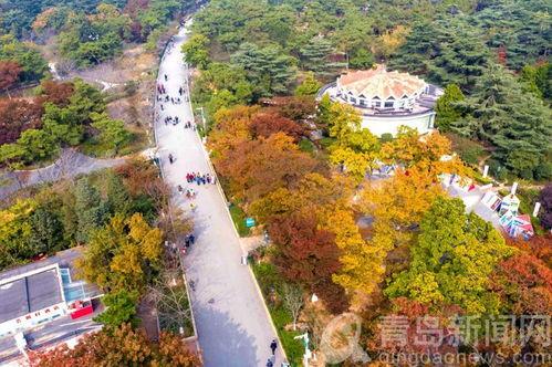 中山公园最新爆料,揭秘公园历史变迁与未来规划  第2张