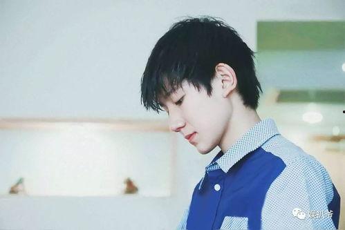 扒爷圈内爆料王源,王源背后的故事与成长历程  第1张