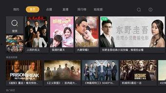 免在线观看  第1张