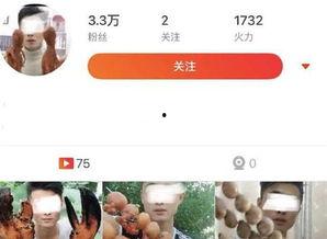 峨眉山小伙爆料视频播放,揭秘神秘山景背后的故事  第3张